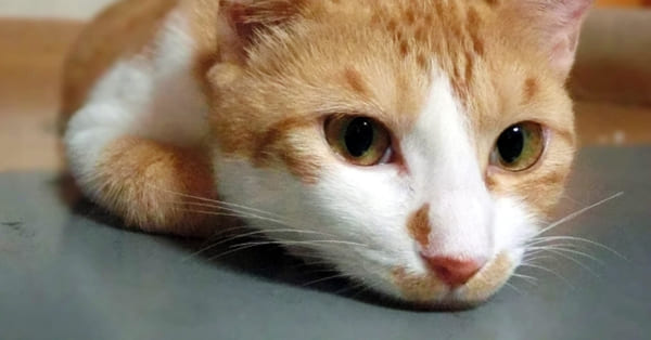 学校がつまらないあなたに伝える、学校生活を楽しくする方法