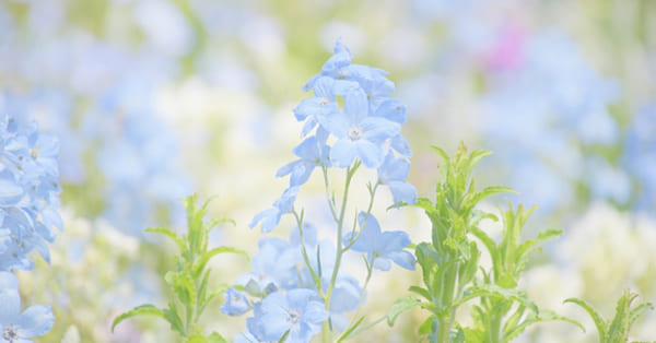 「学校が怖い」気持ちを1人で抱えないでください