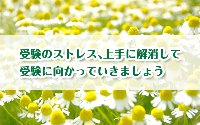 【受験ストレスの対処法17選】気をつけたい症状・体調不良も紹介