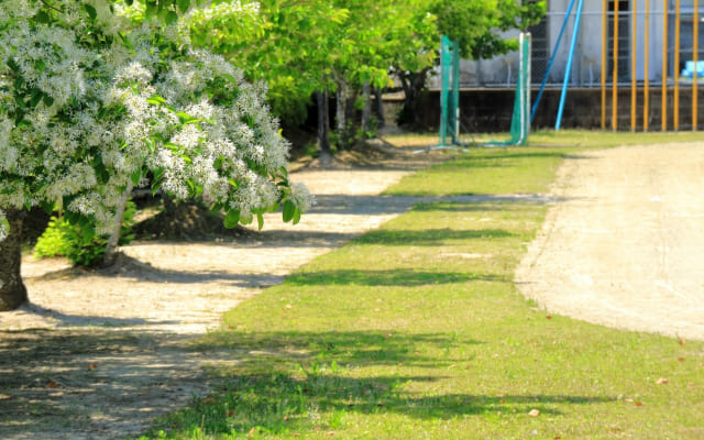 保健室登校とは？