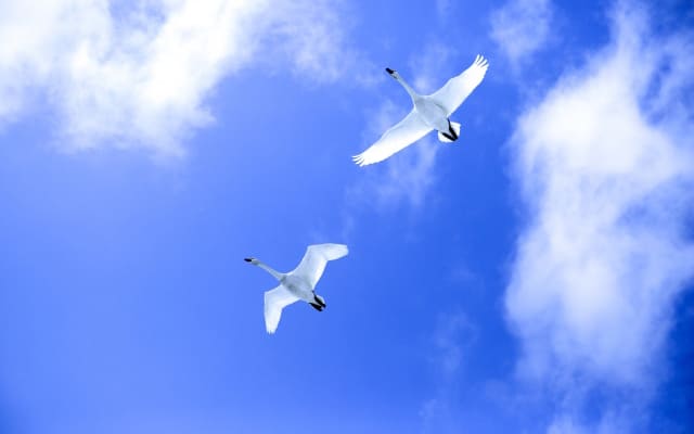 まとめ：自己嫌悪に陥っても自分を大切にしましょう