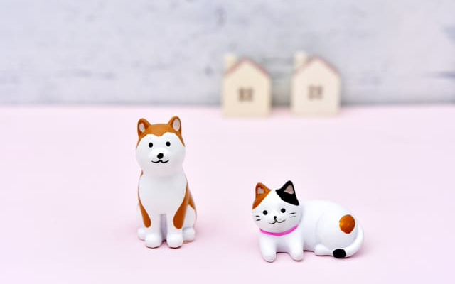 ペットを飼う