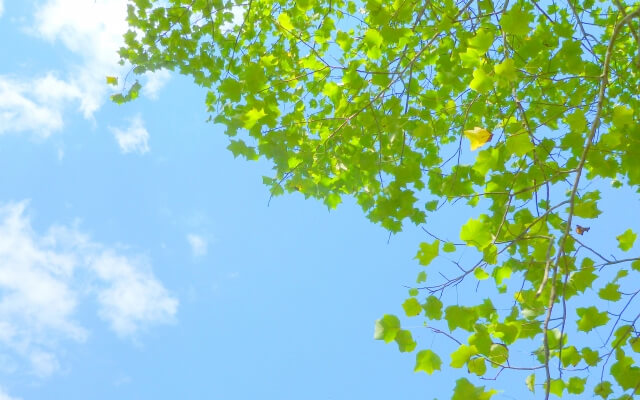 学校を休むことは「悪いこと」ではありません