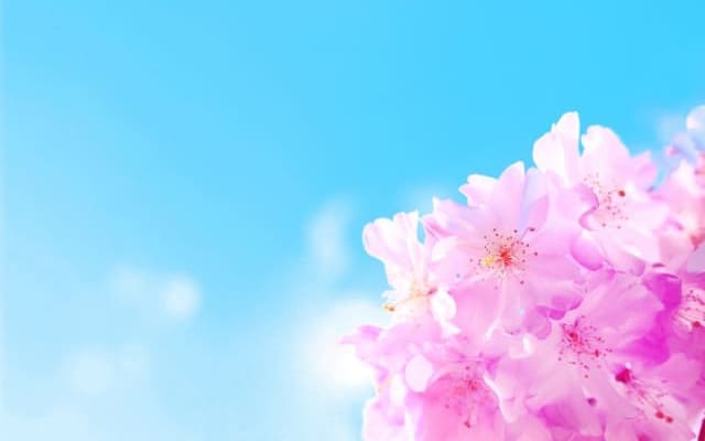 対処法①合格した学校に進学する
