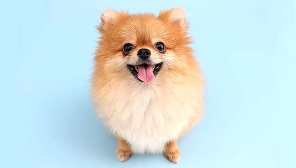 まとめ〜お気軽にご相談ください〜