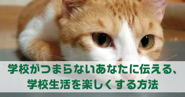 学校がつまらないあなたへ　学校生活を楽しくする方法を解説